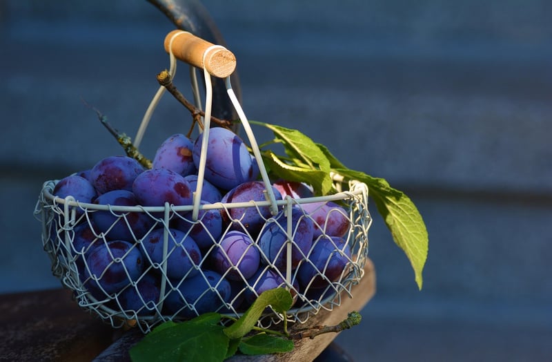 Gift baskets
